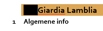 probleem met stijlen